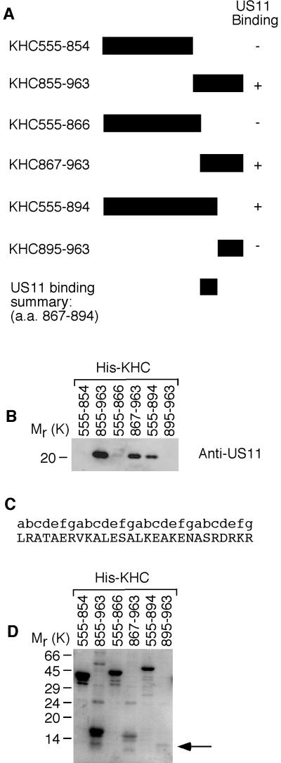 FIG.5.