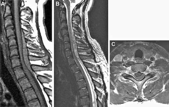 Fig. 1