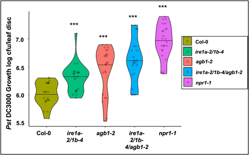 Figure 5.