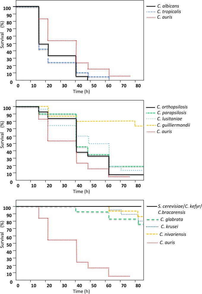 FIG 2 