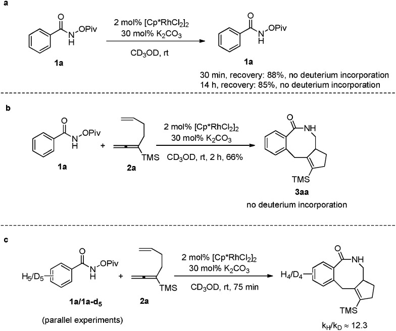 Scheme 4