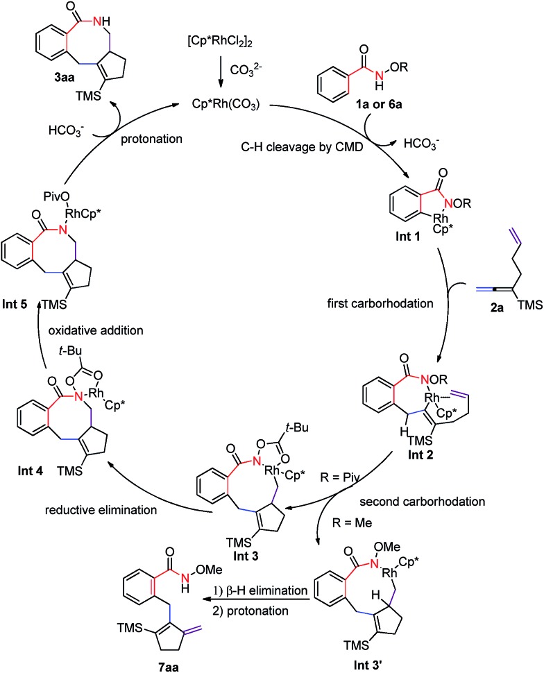 Scheme 7