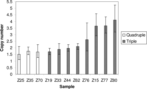 FIG. 1.