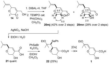 Scheme 6