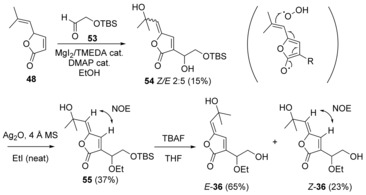 Scheme 11