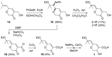 Scheme 5