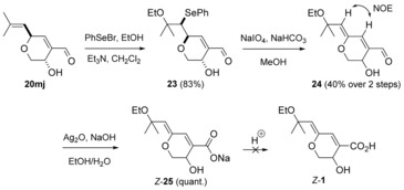 Scheme 7