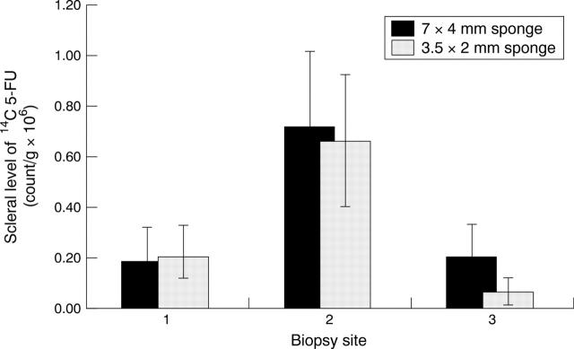 Figure 5  