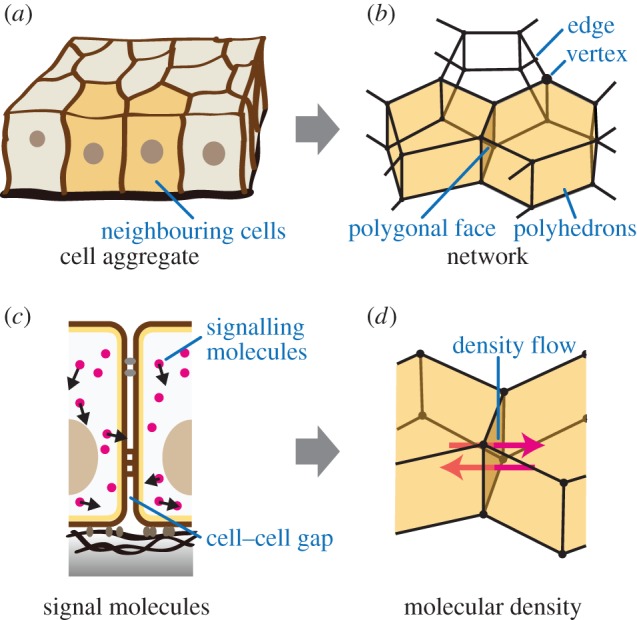 Figure 1.