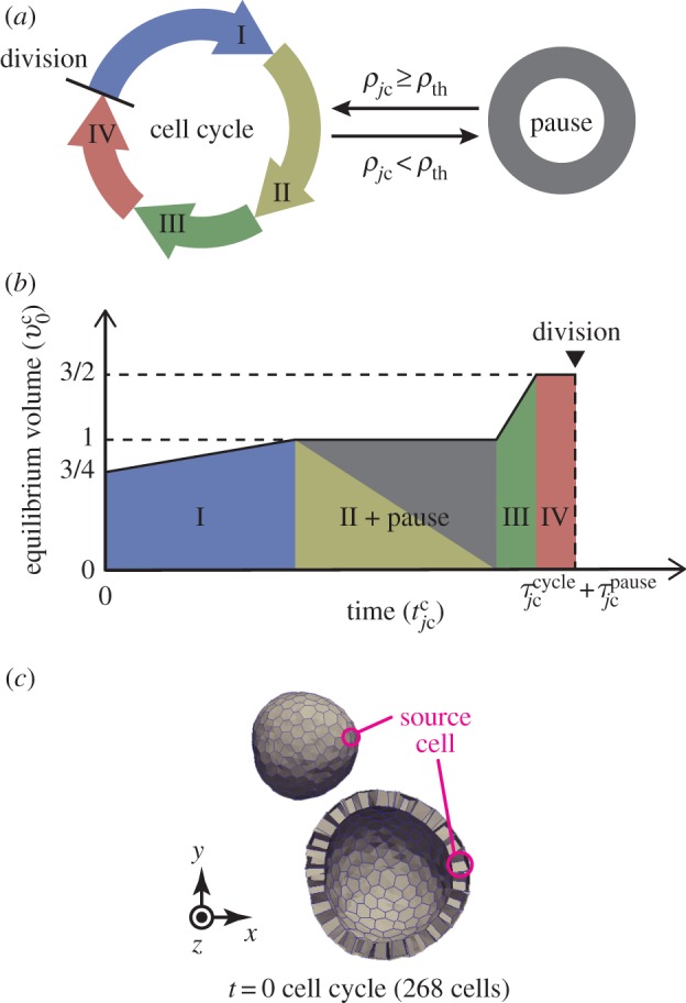 Figure 2.