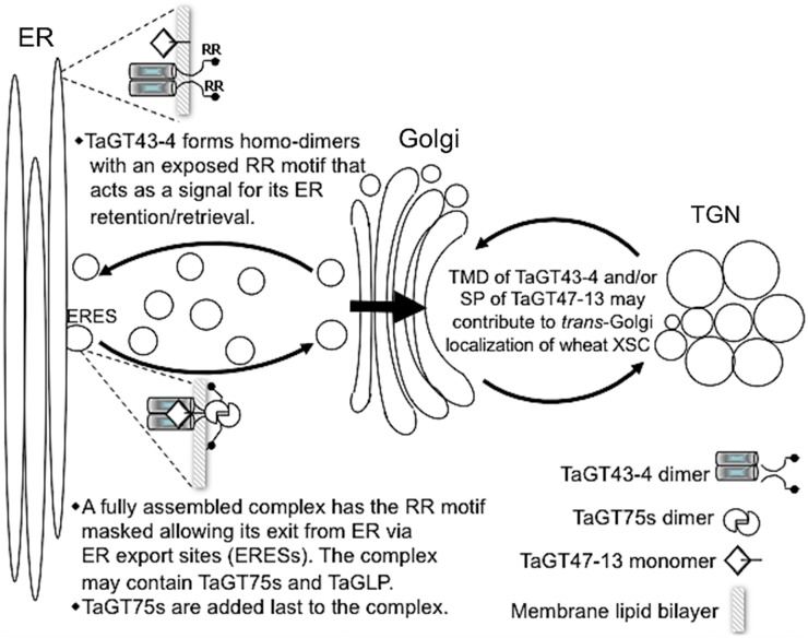 Figure 13.