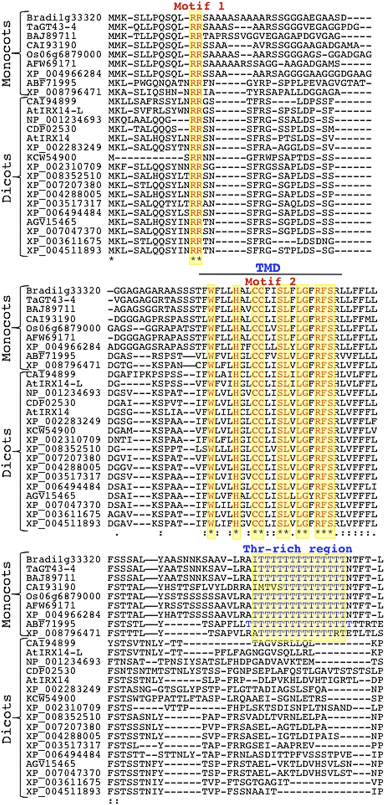 Figure 11.