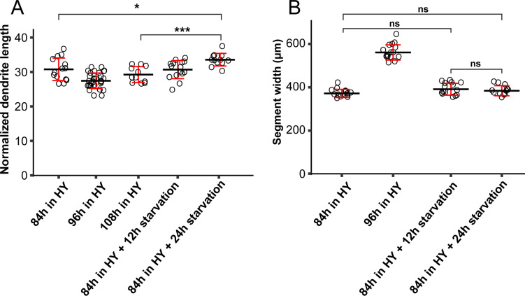 Figure 1—figure supplement 3.