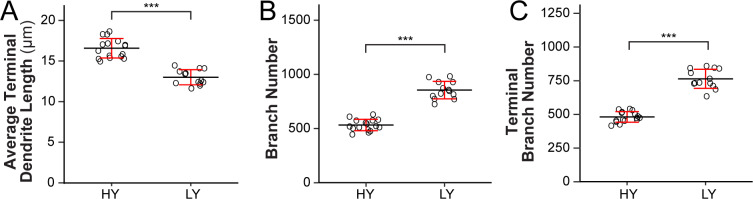 Figure 1—figure supplement 1.