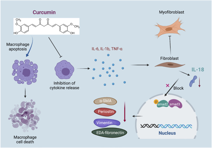 GRAPHICAL ABSTRACT