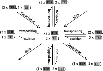 Figure 2.—