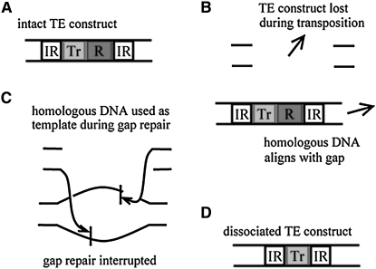 Figure 1.—