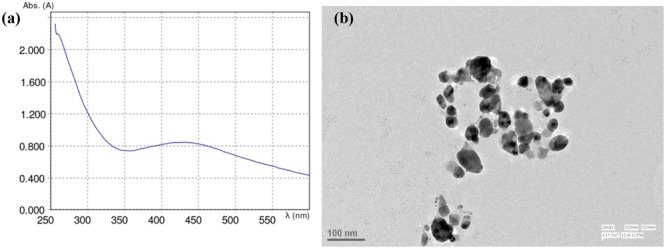 FIGURE 1