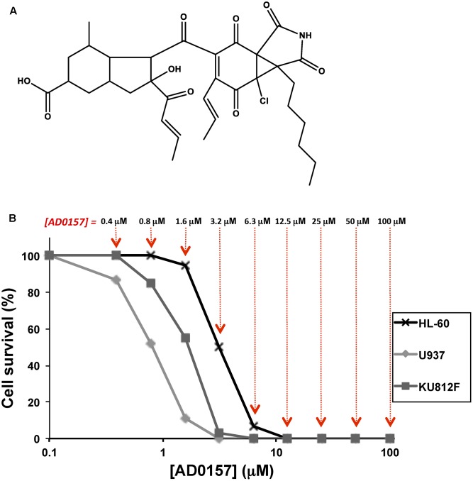 FIGURE 1