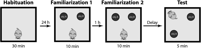 FIG. 1.