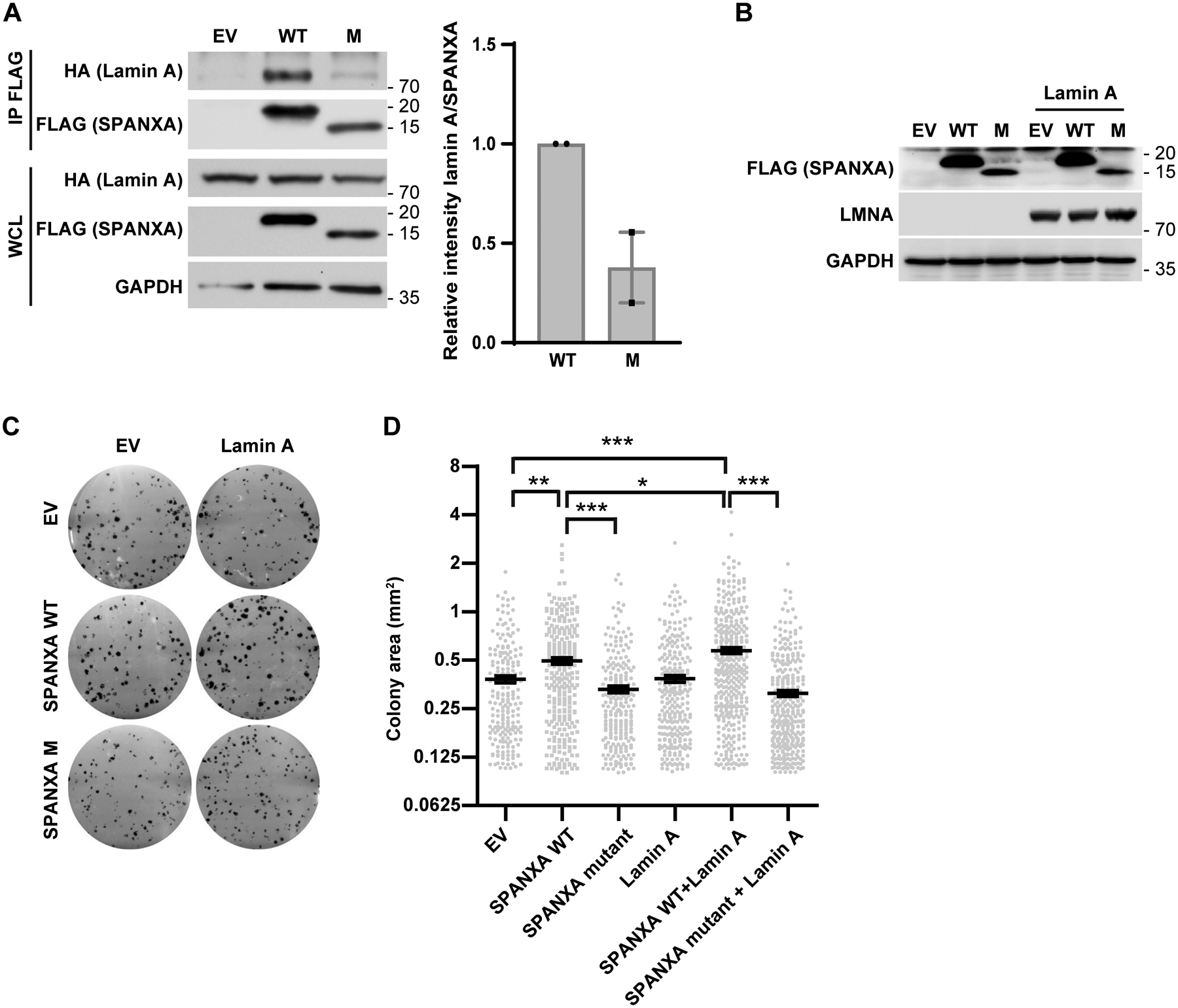 Figure 4: