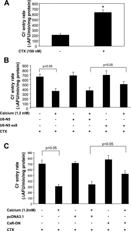 Fig. 8.