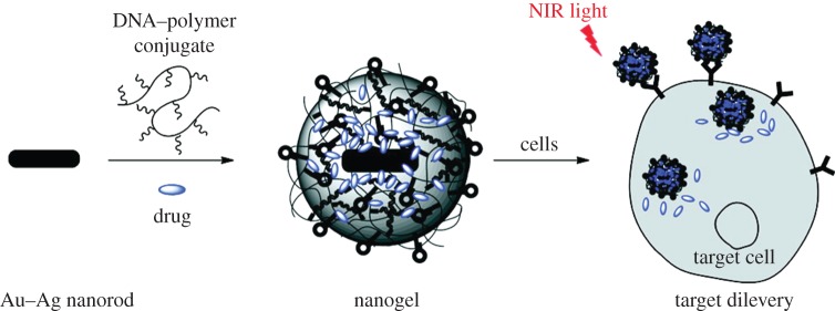 Figure 7.