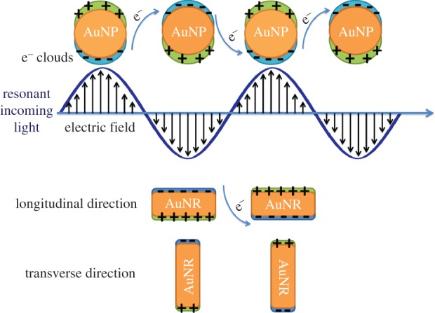 Figure 1.