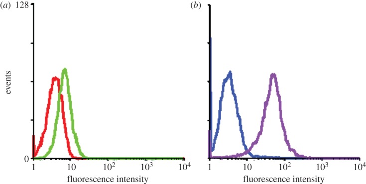 Figure 2.