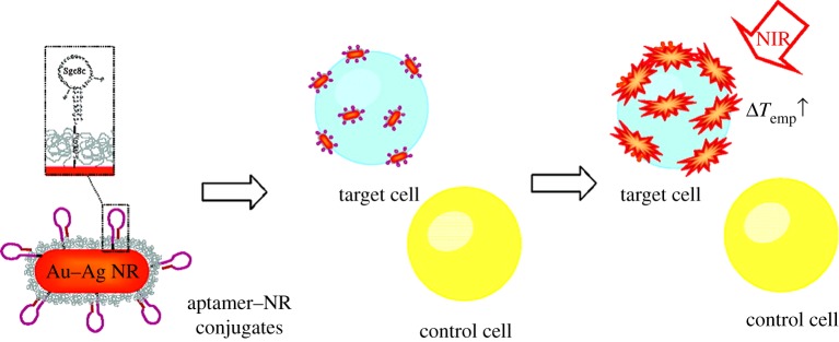 Figure 5.