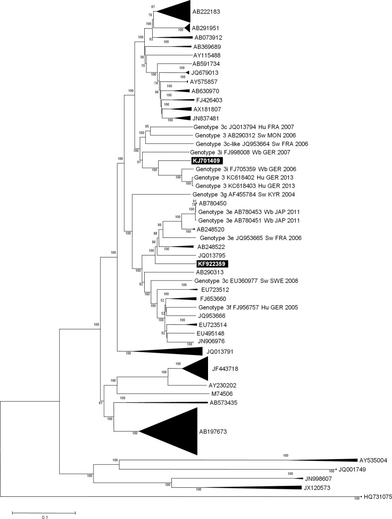 FIG 2