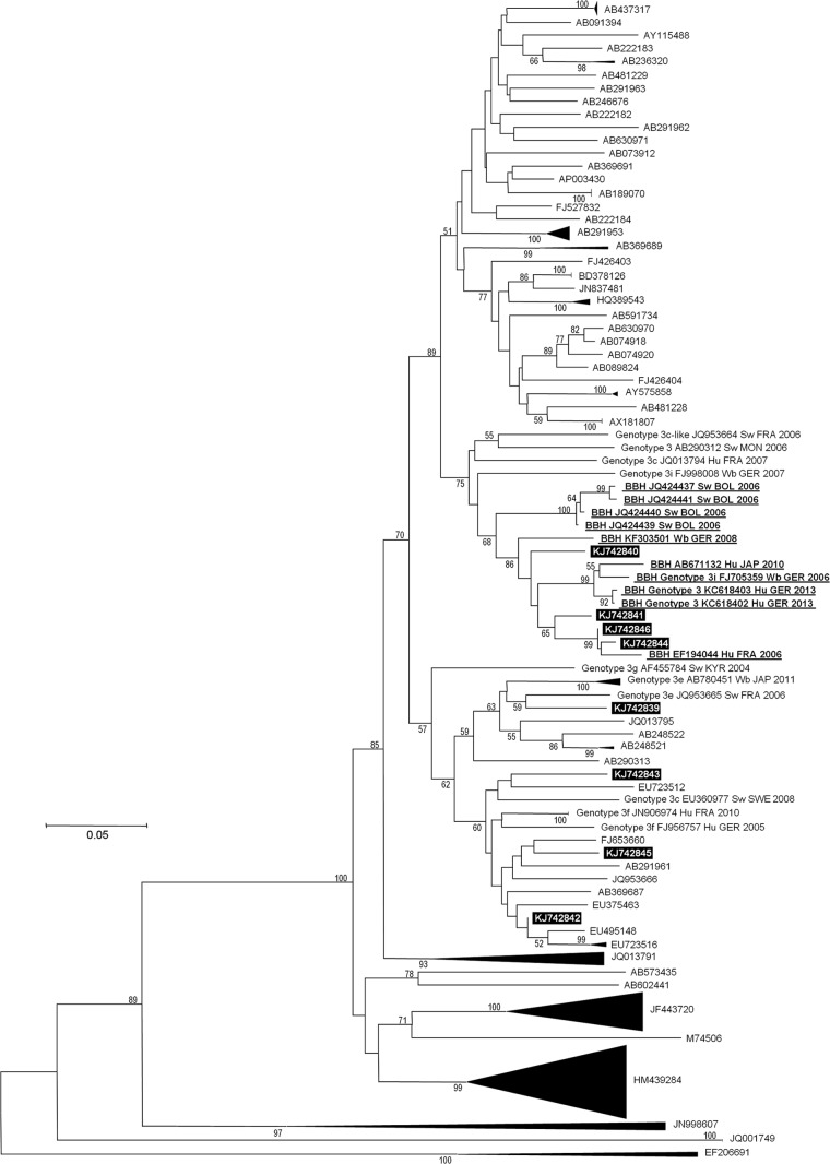 FIG 1