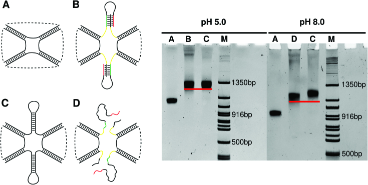 Figure 5.