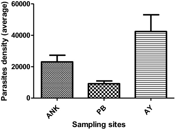 Fig. 1