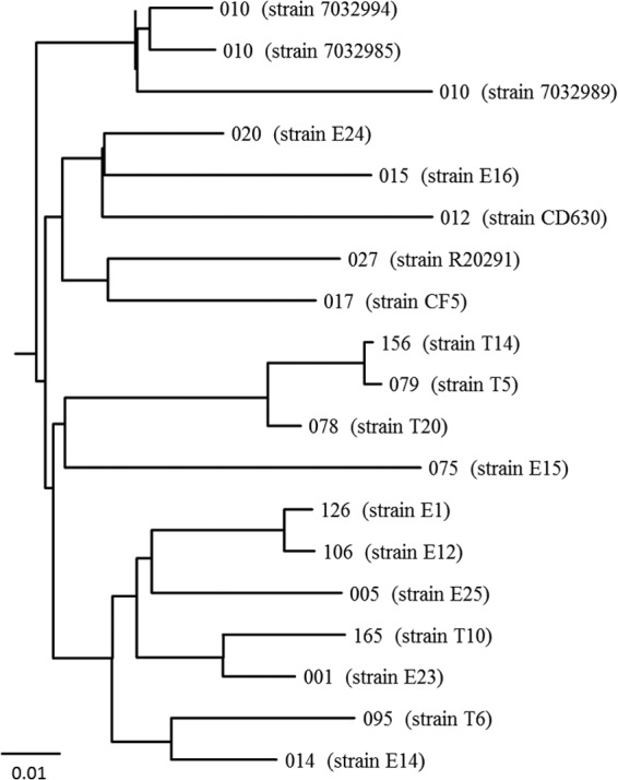 FIG 1