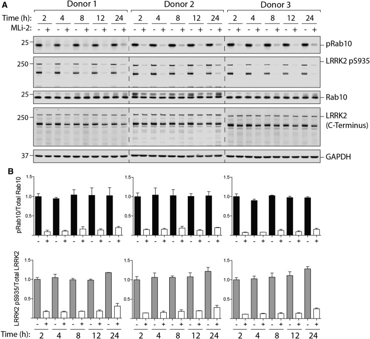 Figure 9.