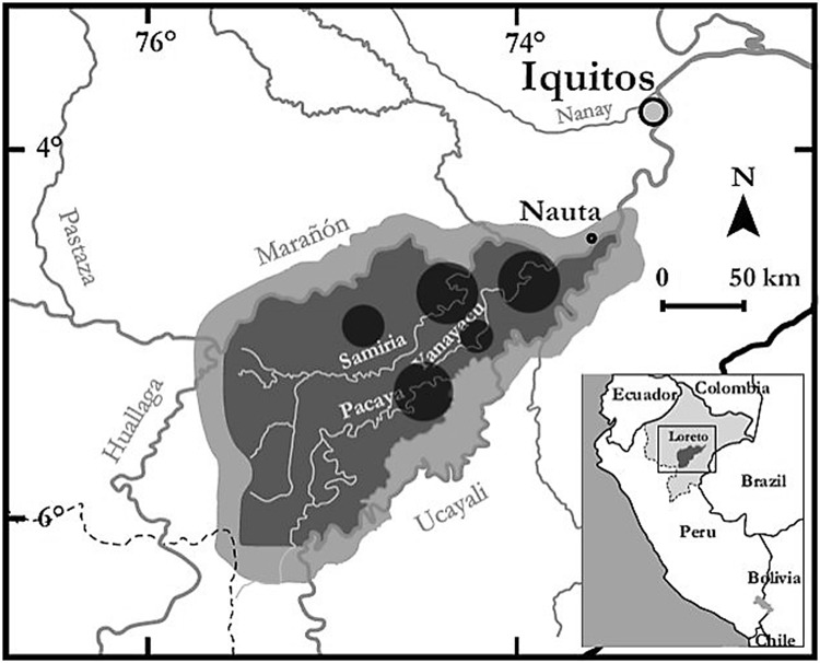 Fig. 1