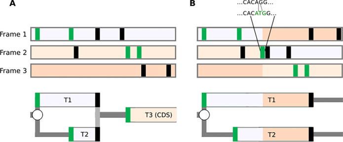 Figure 4: