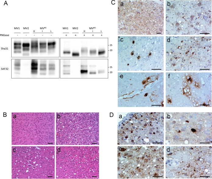 FIG 3