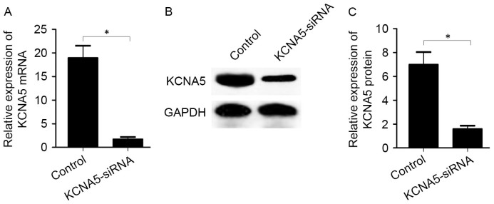 Figure 5.