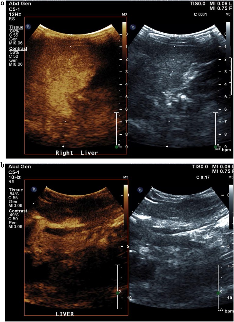Fig. 4