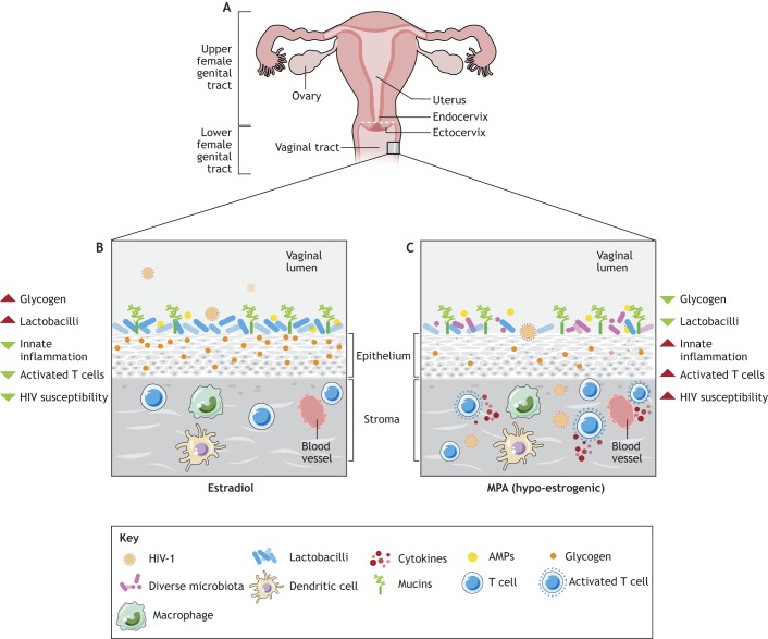 Fig. 4.