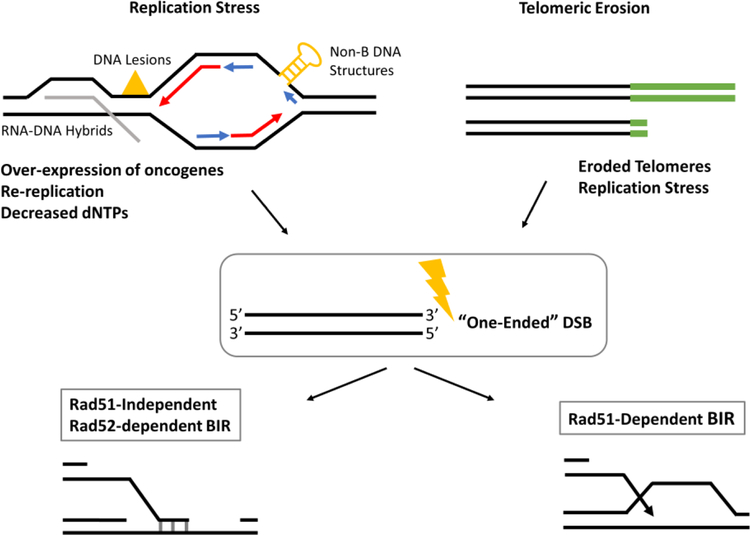 Figure 3,