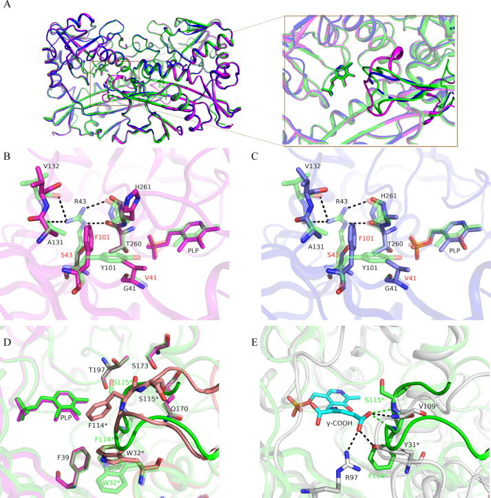 Fig 3