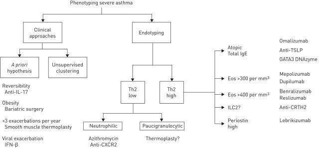 FIGURE 1