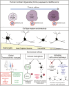 Graphical Abstract