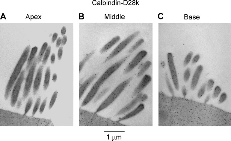 Fig. 9.