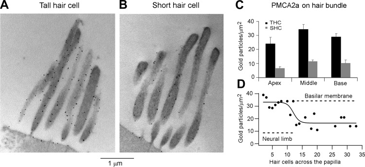 Fig. 11.