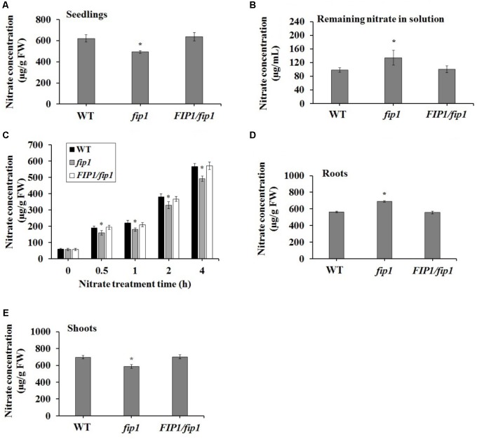 FIGURE 4