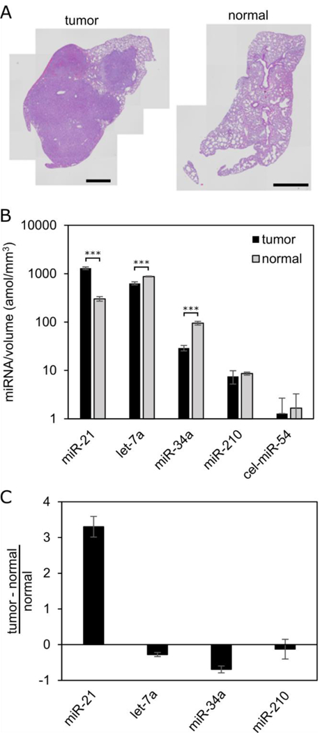 Figure 5: